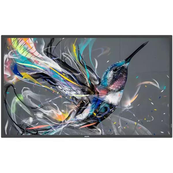 Philips MONITOR 43 Q-LINE 18/7 4K